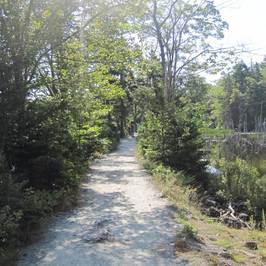Shubenacadie Canal