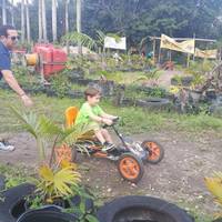 Pinto's Farm