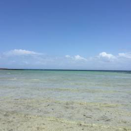 Playa Larga