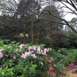 Wollongong Botanic Garden