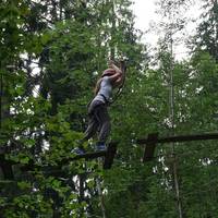 Forest Fun