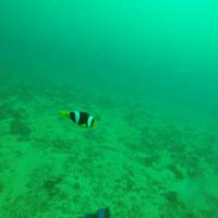 Epic Encounters Dive & Adventure Centre