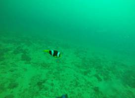 Epic Encounters Dive & Adventure Centre
