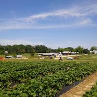 Waller Family Farm