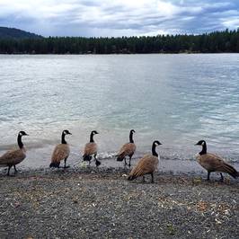 Cultus Lake