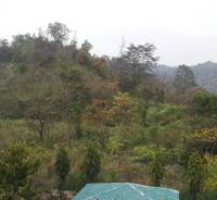 Sureshwari Devi Temple