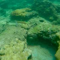 Datura Avenue Shipwreck Snorkel Trail