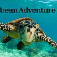 Caribbean Adventure Divers