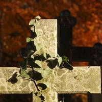 Alter Friedhof