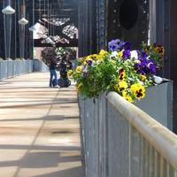 Junction Bridge