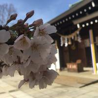 Ibaraki Gokoku Shrine