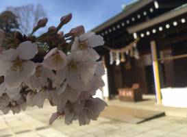 Ibaraki Gokoku Shrine
