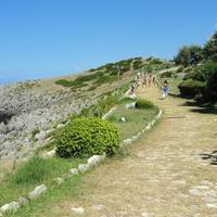 Scogliera Di Cirella