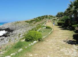 Scogliera Di Cirella