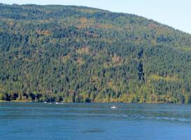 Cultas Lake Provincial Park