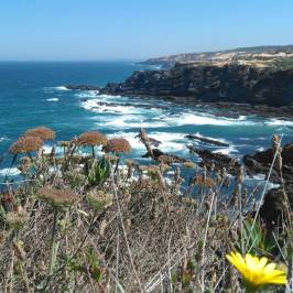 Cabo Sardão