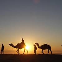 Atlas Desert Expeditions - Day Tours
