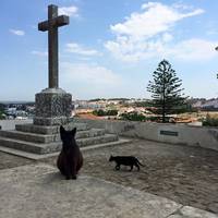 Castelo de Santiago do Cacém