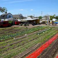Edgemere Farm