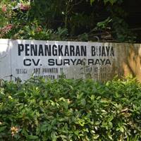 Teritip Crocodile Farm