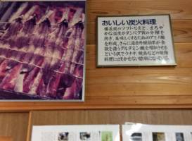 Kishu Binchotan Museum