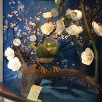 Ume Museum