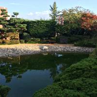 Jardin Japonais