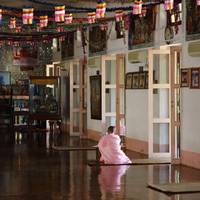 Daw Nyar Na Sar Yi Buddhist Nunnery