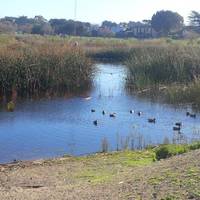 Locke Paddon Park
