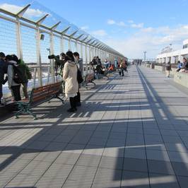 Narita International Airport Terminal 1 5F Observation Deck