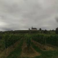 Weingut Klosterhof Loesch