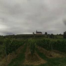 Weingut Klosterhof Loesch