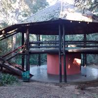 Bosque Reinhard Maack