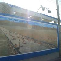 Mural of Maria Reiche