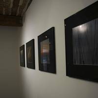 XXS Gallery