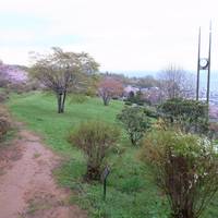 Temiya Park