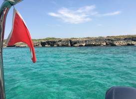 Vie del Mediterraneo - Tour Escursioni e Servizi Turistici nel Salento