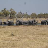Slow But Sure Safaris - Day Tours