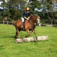Severnvale Equestrian Centre