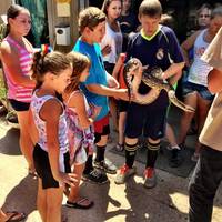 Phoenix Herpetological Society