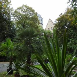 Botanischer Garten Giessen