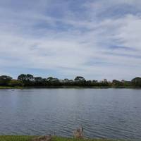 Parque do Iguaçu - Zoológico