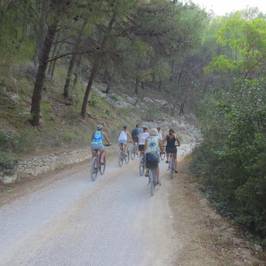 Rent A Bike Riki