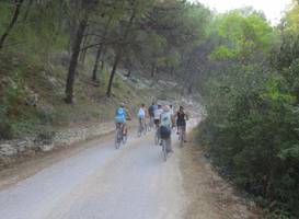 Rent A Bike Riki