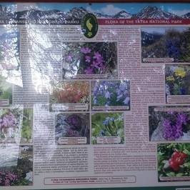 Strbske Pleso