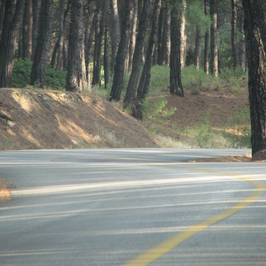 Recreation Grove of Komotini