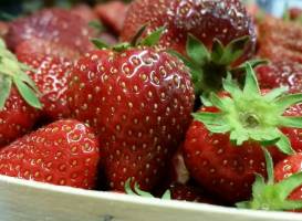 Corey Lake Orchard & Farm Market