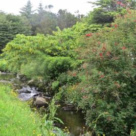 Viðarlundin Park