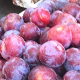 Sunnyvale Farmers Market