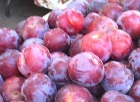 Sunnyvale Farmers Market